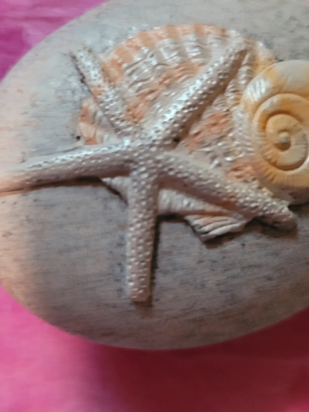 Decorative Starfish Shell Accent Stone in Beige and Natural